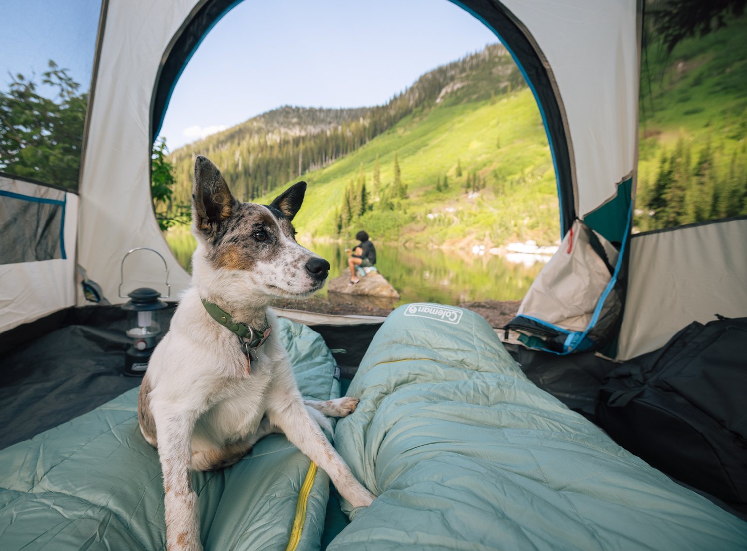 TOIC_Shot_06_TentPOV_069-Edit.jpg