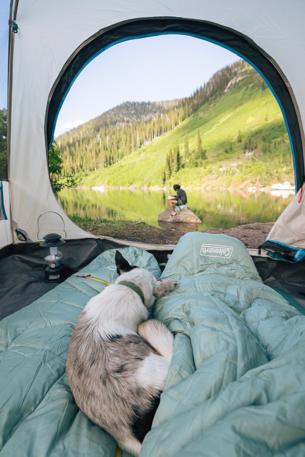 TOIC_Shot_06_TentPOV_087-Edit.jpg