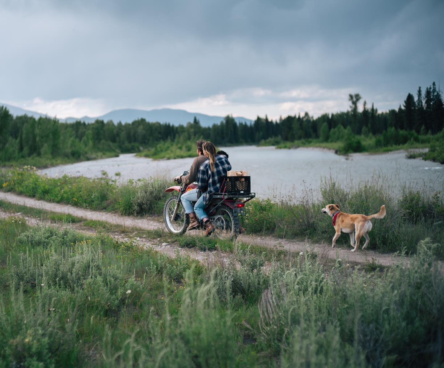 forrestmankins_1690044422_3152643573815989722_3171631.jpg