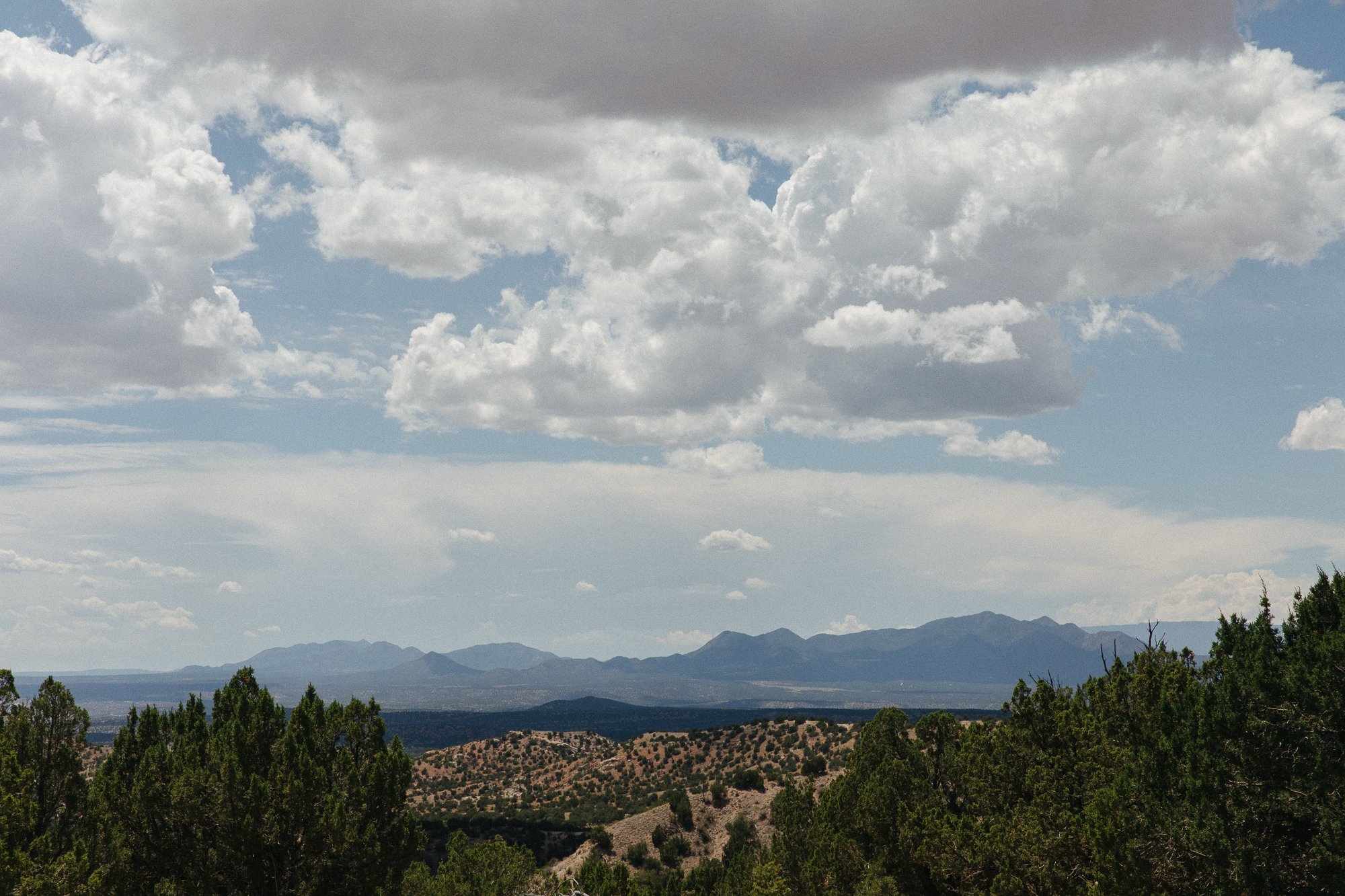 DescribeTheFauna_Dust_SombraSantaFe-21.jpg
