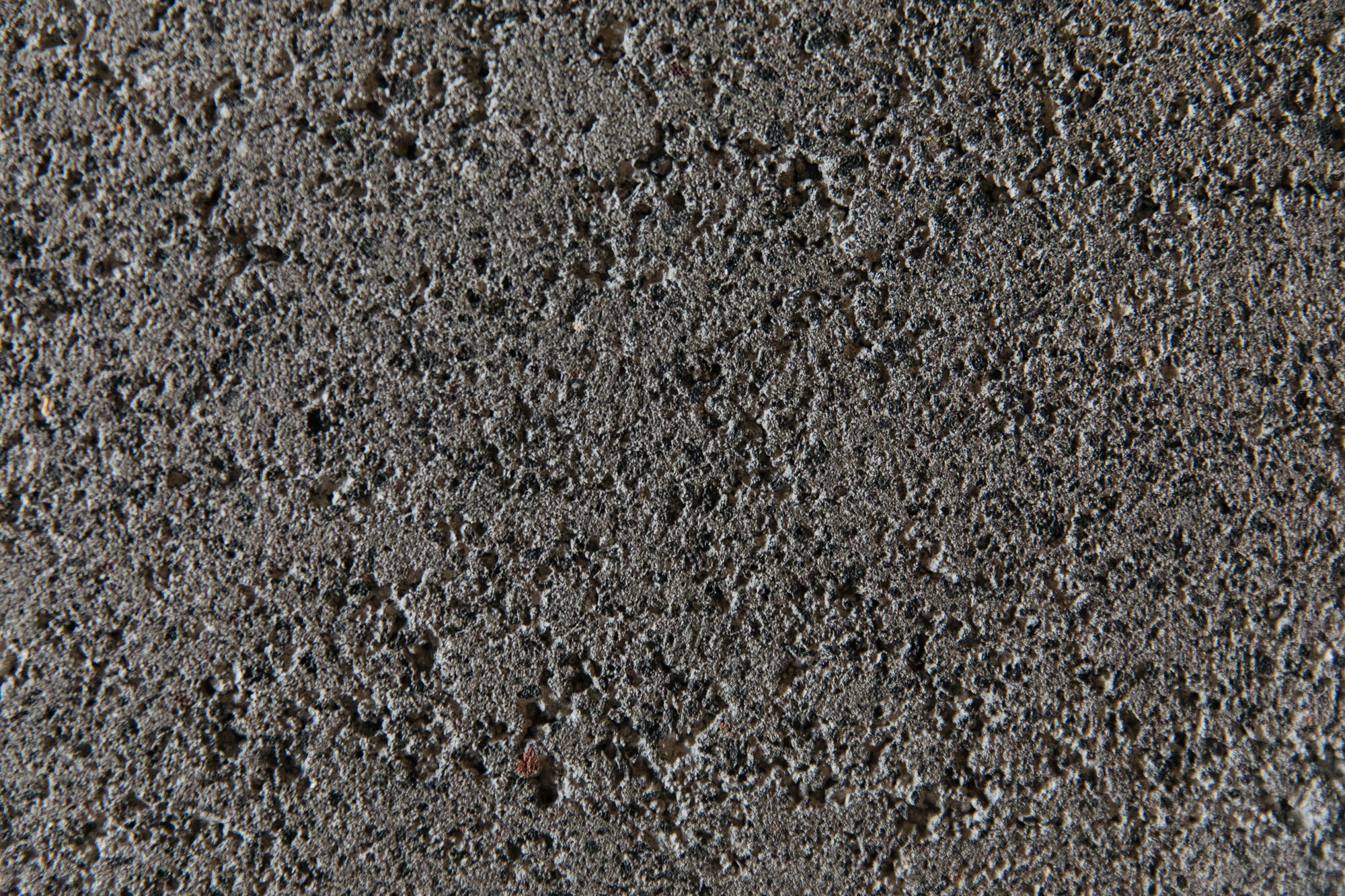 DescribeTheFauna_Dust_SombraSantaFe-22.jpg