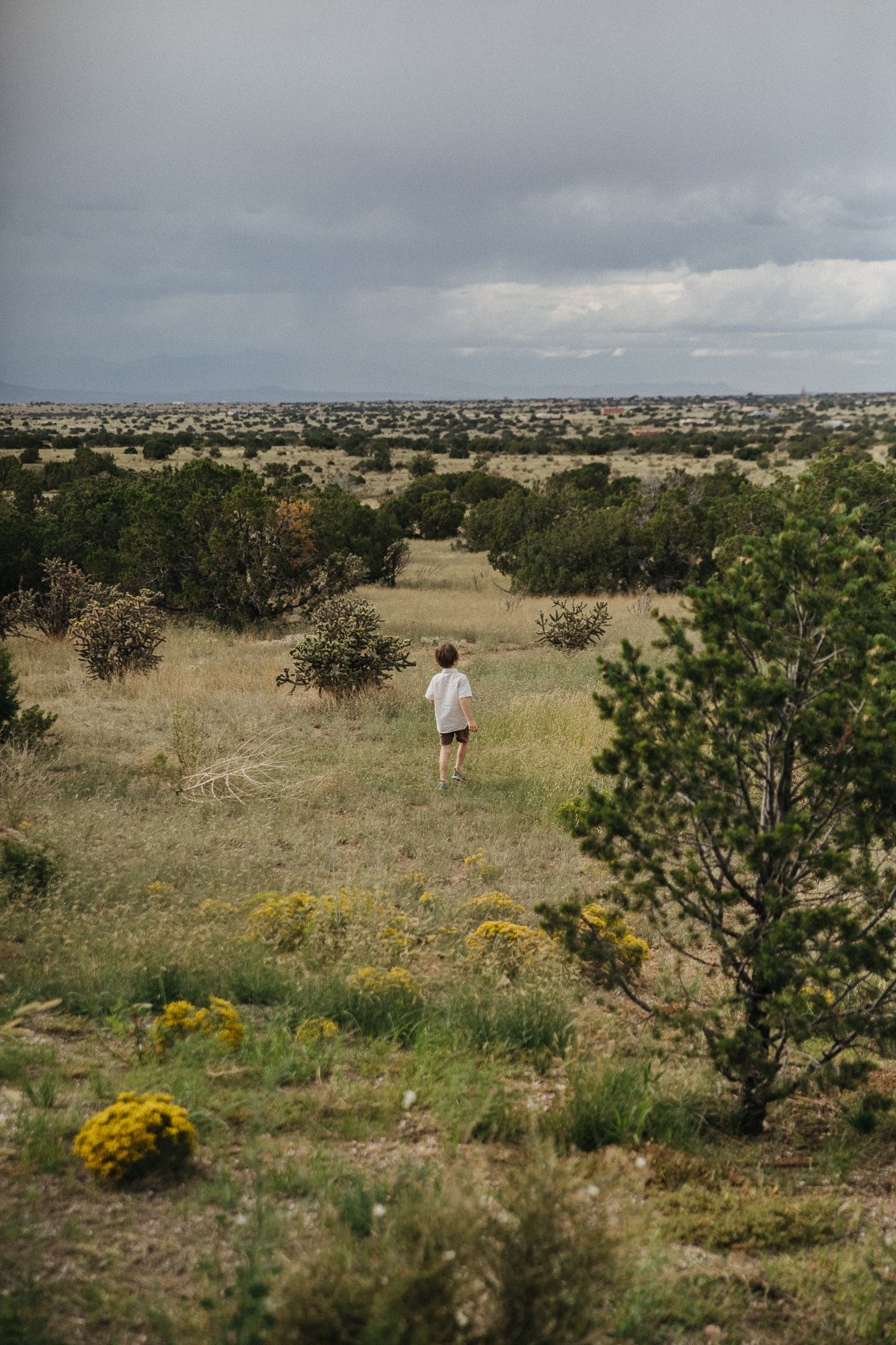 DescribeTheFauna_Dust_SombraSantaFe-64.jpg