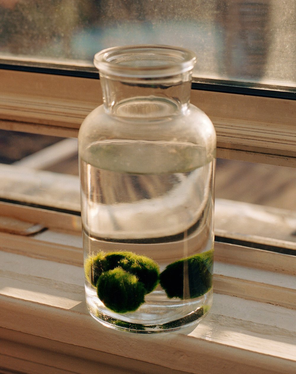 MM_NY_STILL+LIFE_09.jpg