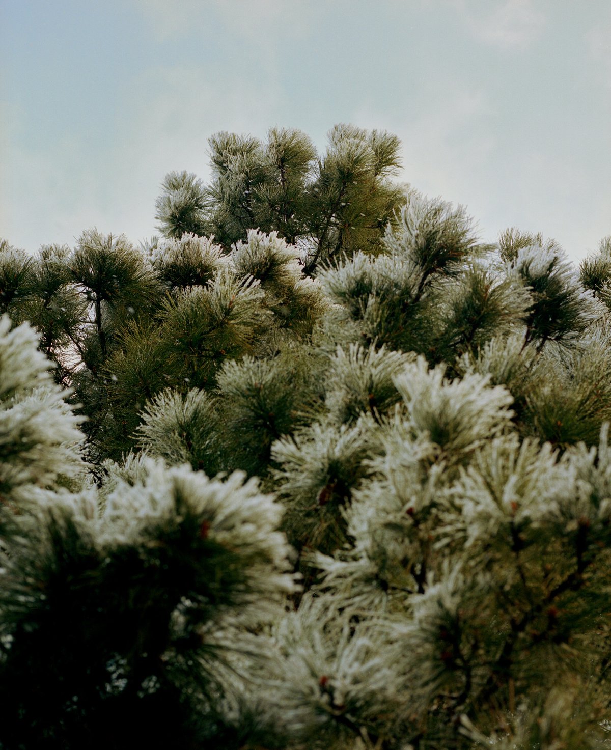 xhbtr_6f928707-85d8-4c0d-bee6-9c6ccfe5cf63_w1200.jpg