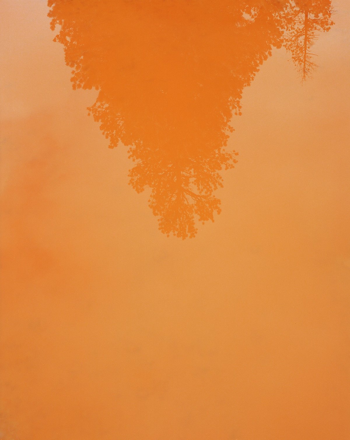 xhbtr_962e673a-d809-46bf-b1a9-55adfbfa84a6_w1200.jpg