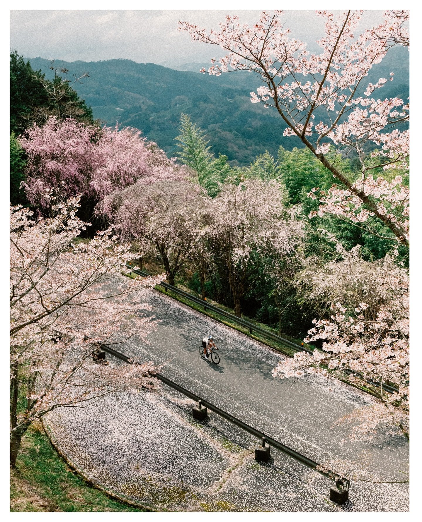 RAPHA_IG_Post1_01_MT.jpg