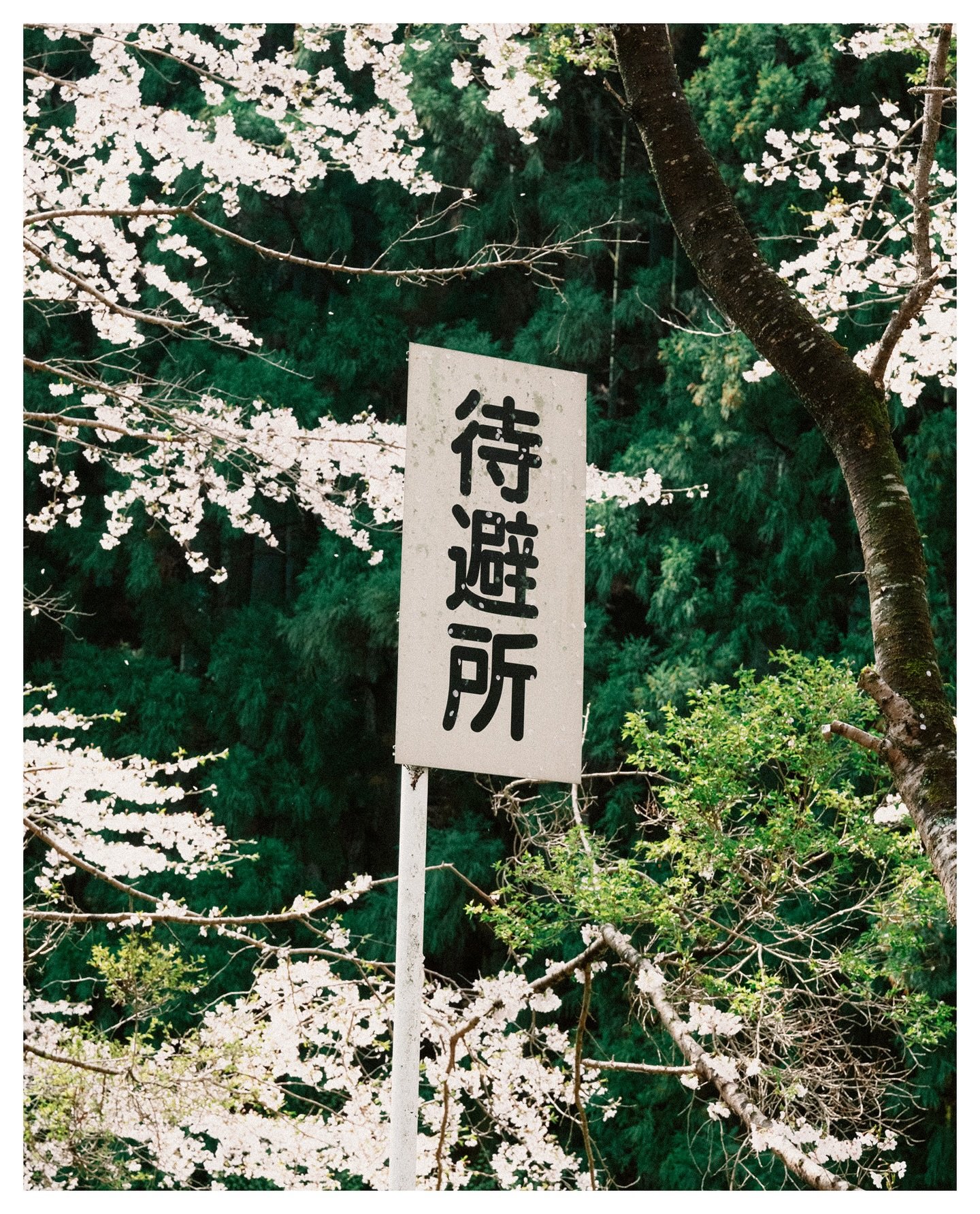 RAPHA_IG_Post1_05_MT.jpg