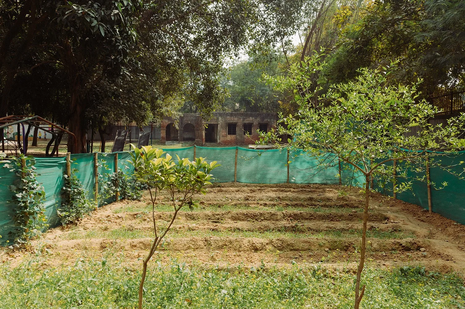 WWS2025_India_Delhi_RNCF_SchoolGardens_Trinca_0690.jpg