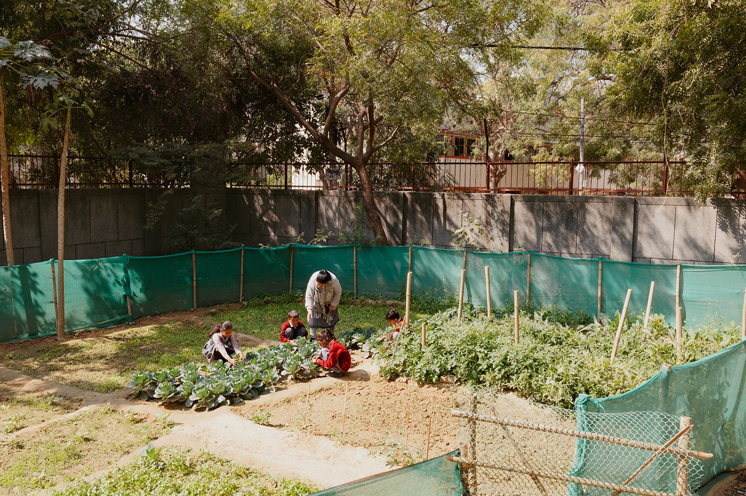 WWS2025_India_Delhi_RNCF_SchoolGardens_Trinca_1032.jpg