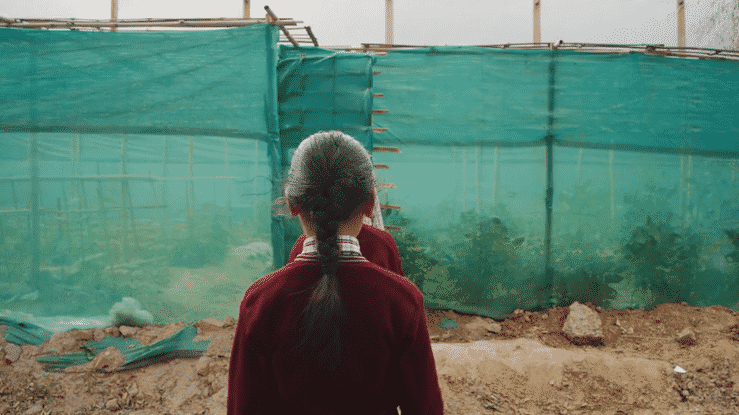 WWS2025_India_Delhi_RNCF_SchoolGardens_Trinca_video_0001_16x9_H264_20250326