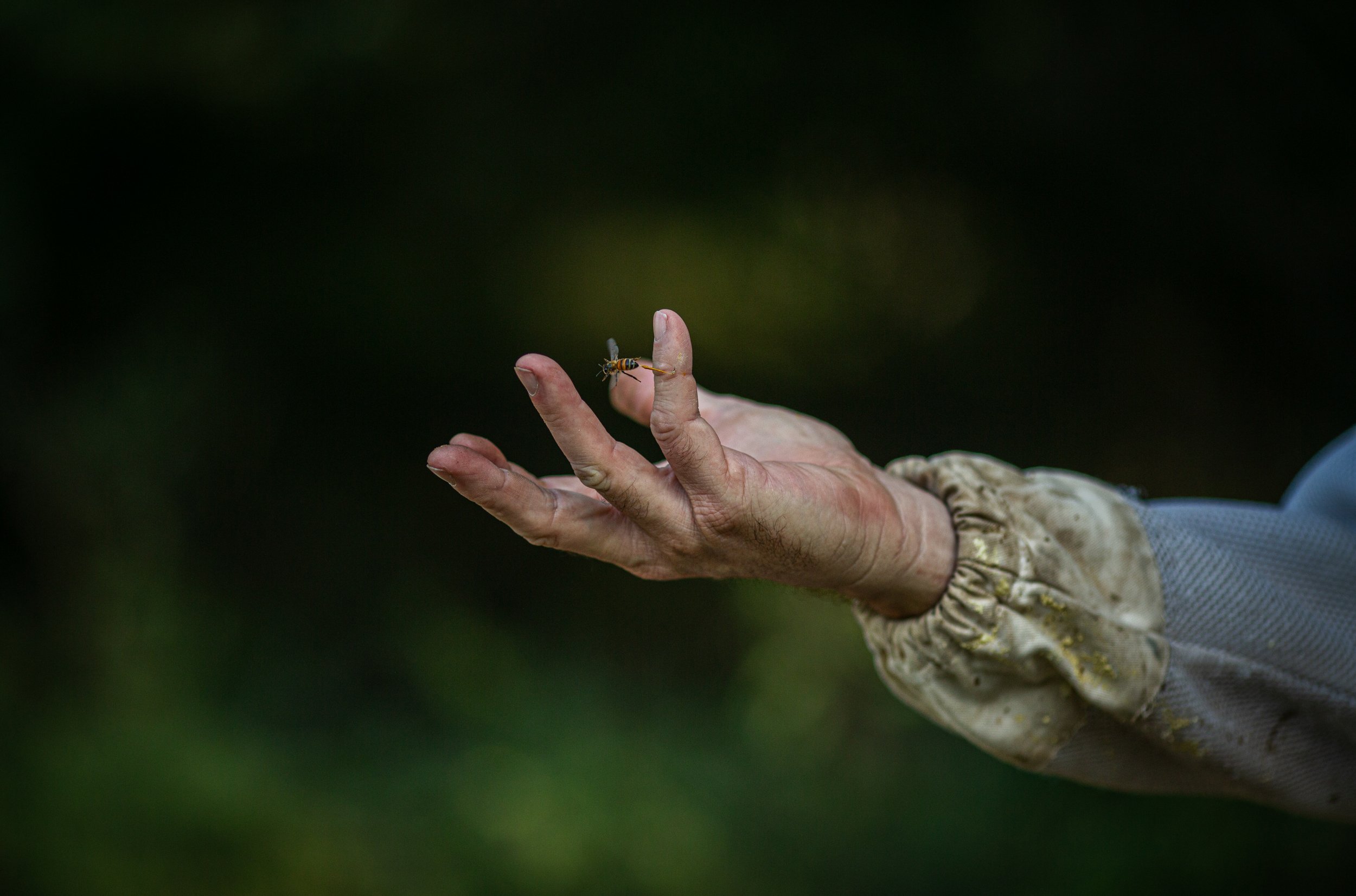 Nicol Ragland_Land Stewards_02.jpg