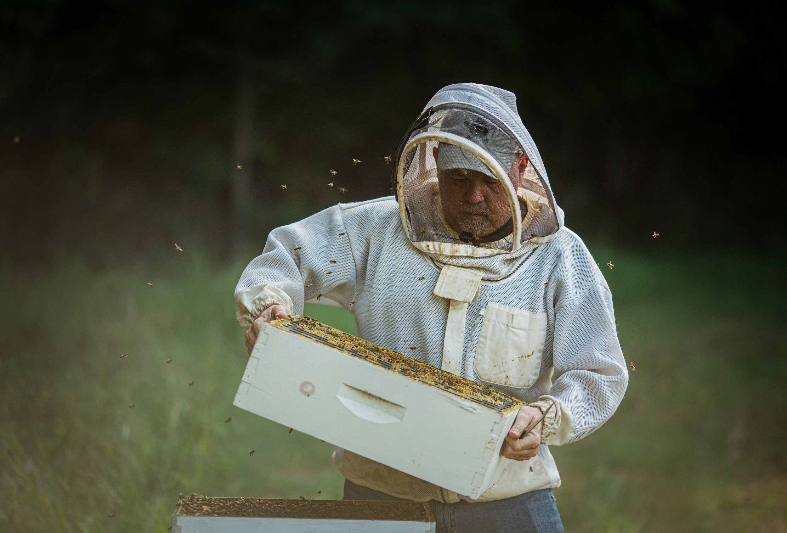 Nicol Ragland_Land Stewards_03.jpg