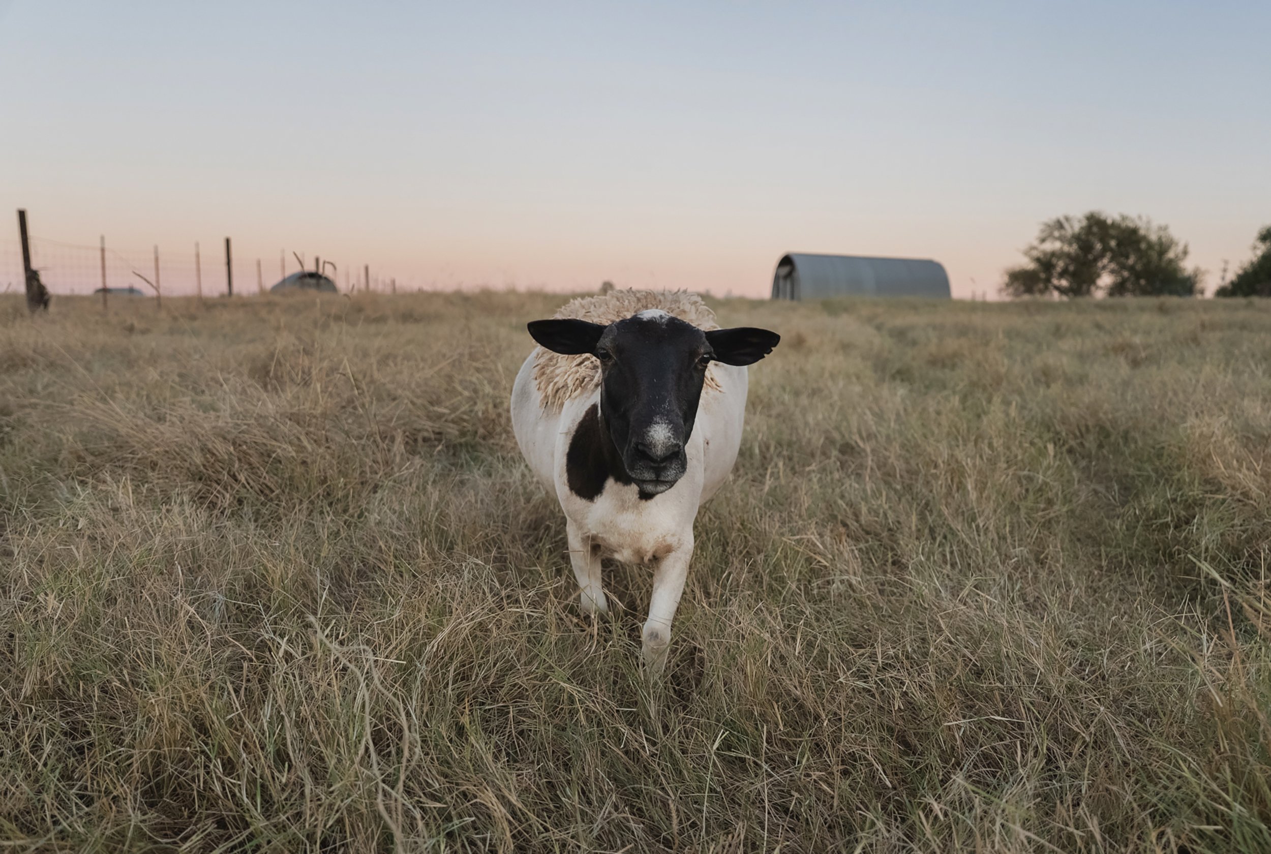 Nicol Ragland_Land Stewards_23.jpg
