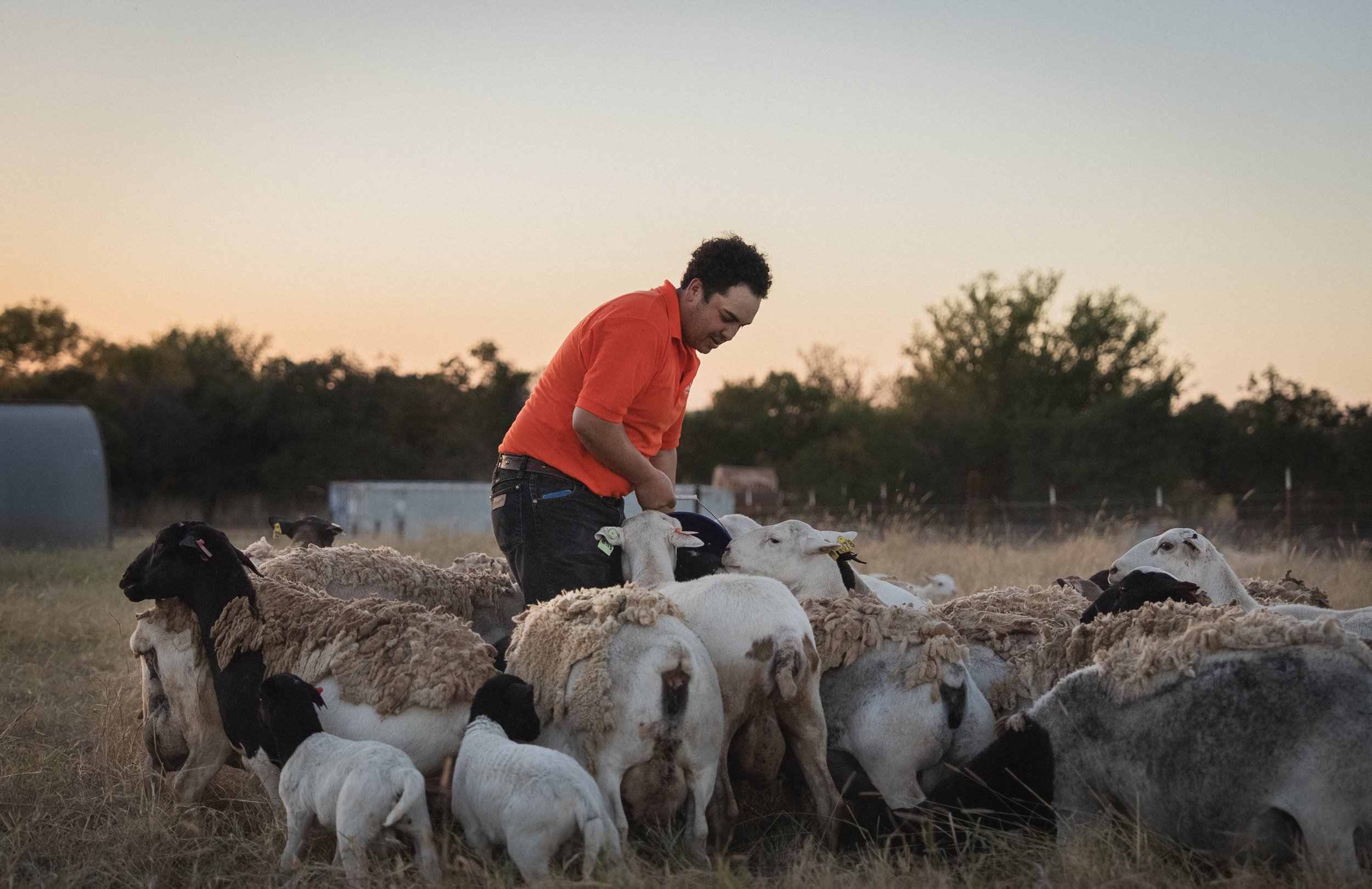 Nicol Ragland_Land Stewards_25.jpg
