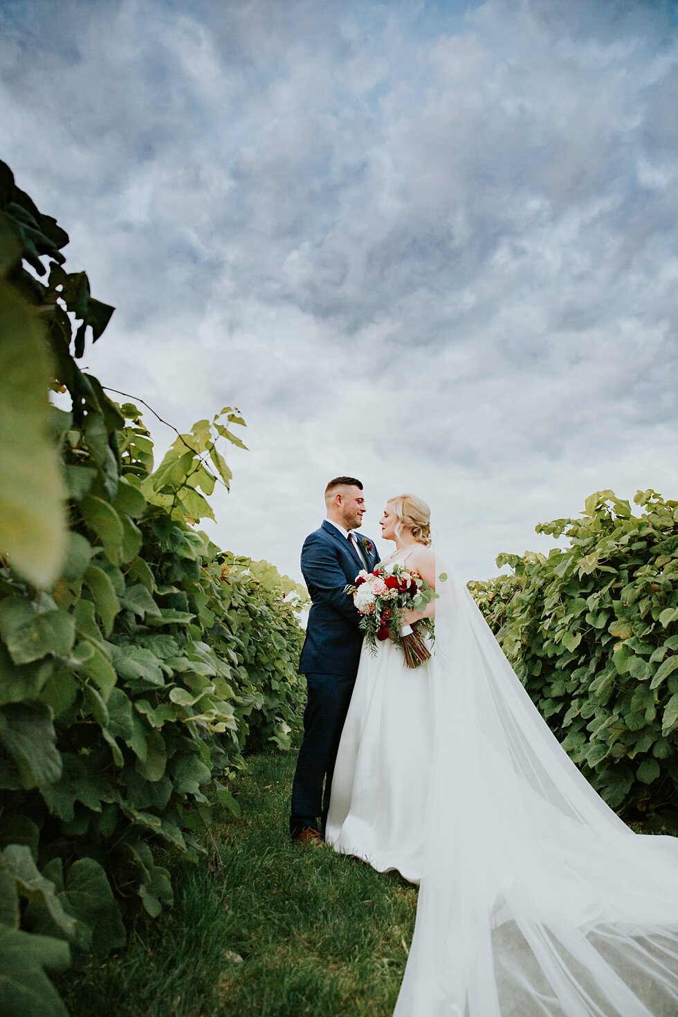  Bride and Groom portraits  in vineyard at Huber’s Orchard and Winery   #thatsdarling #weddingday #weddinginspiration #weddingphoto #love #justmarried #midwestphotographer #kywedding #louisville #kentuckywedding #louisvillekyweddingphotographer #wedd