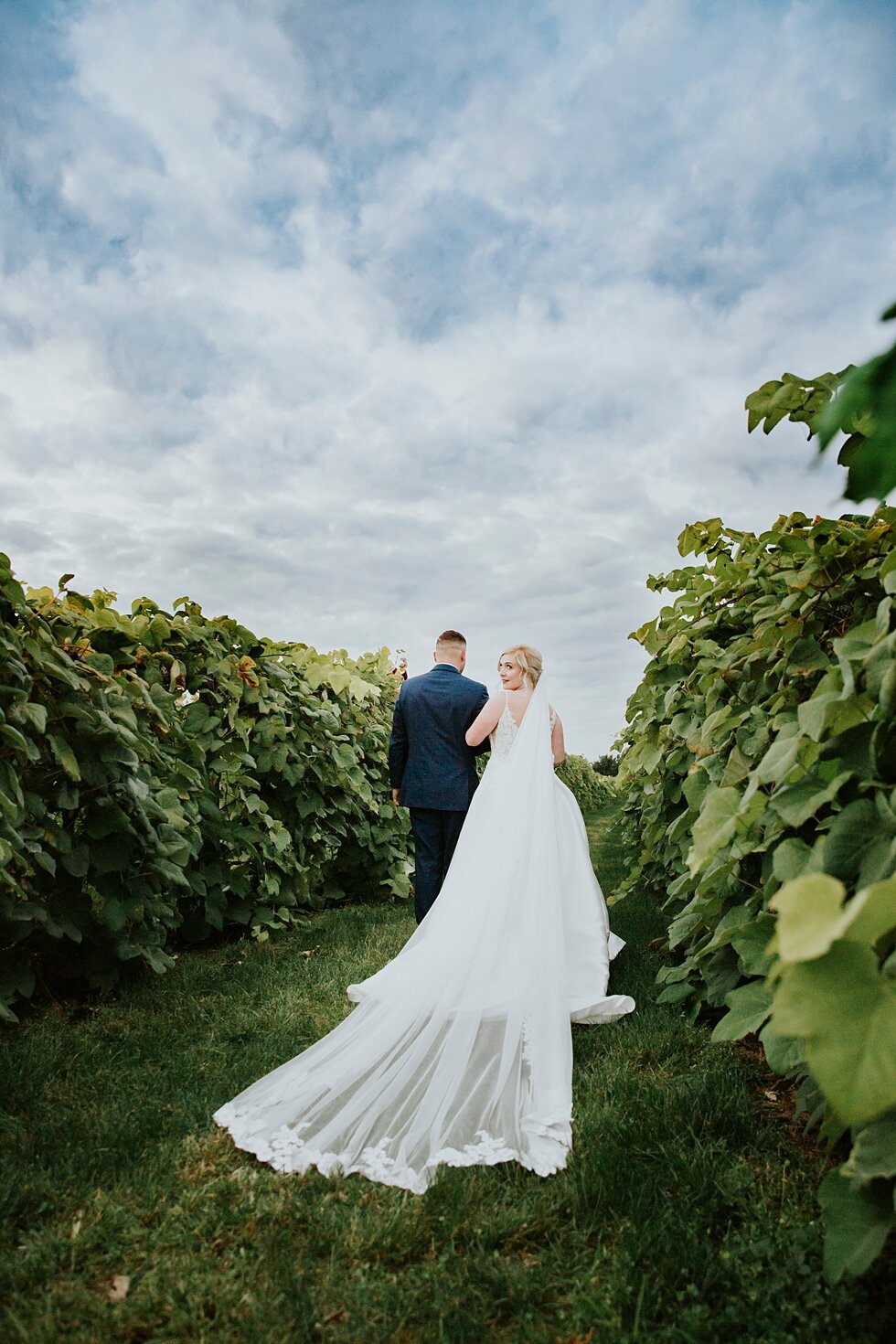  Bride and Groom portraits  in vineyard at Huber’s Orchard and Winery   #thatsdarling #weddingday #weddinginspiration #weddingphoto #love #justmarried #midwestphotographer #kywedding #louisville #kentuckywedding #louisvillekyweddingphotographer #wedd