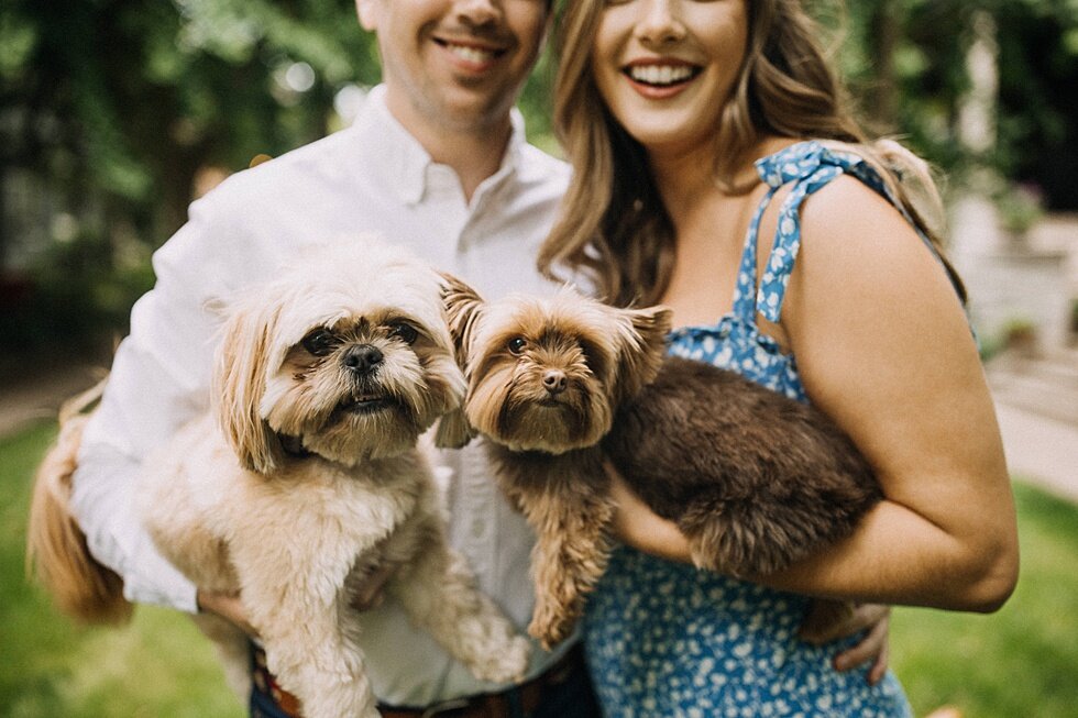  Historic Louisville has the most magnificent lush green garden in St James Court and these pups were thrilled to run and play as they were photographed for their owners engagement session. #engagementphotos #savethedatephotos #savethedates #engageme
