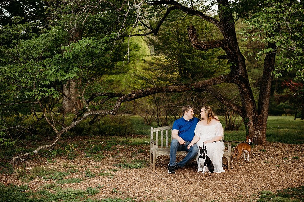  Spring engagement session with dogs at Bernheim Forest 