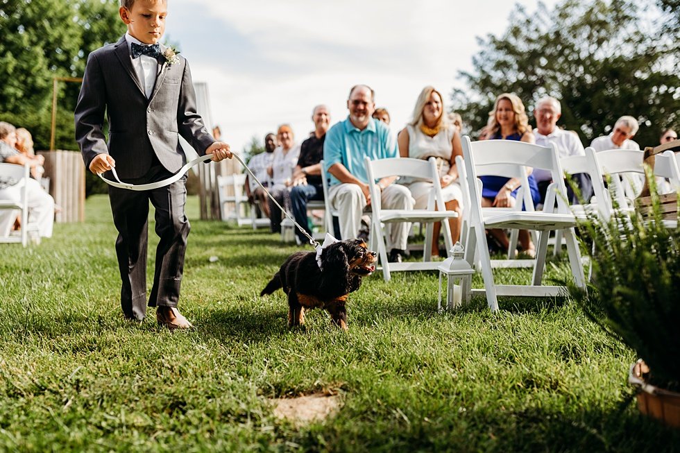  Puppy ring bearer. Outdoor summer wedding at Villwock Farms , Edwardsport, IN 