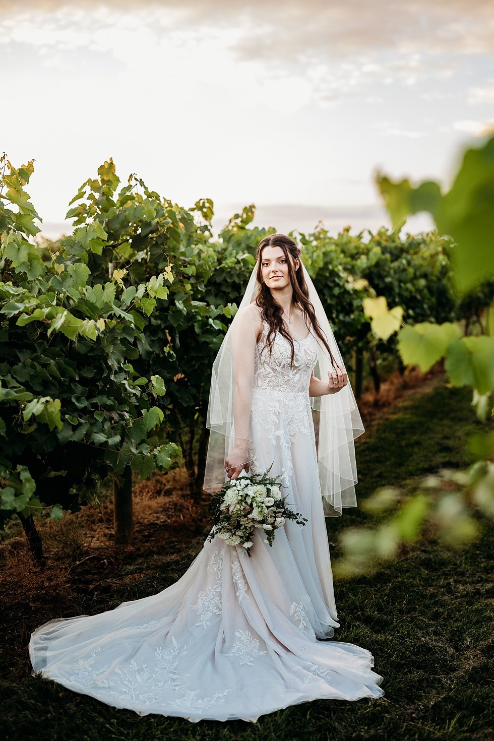  Sunset bridal portraits in vineyard. Wedding at Huber's Orchard and Winery in Starlight, Indiana. 