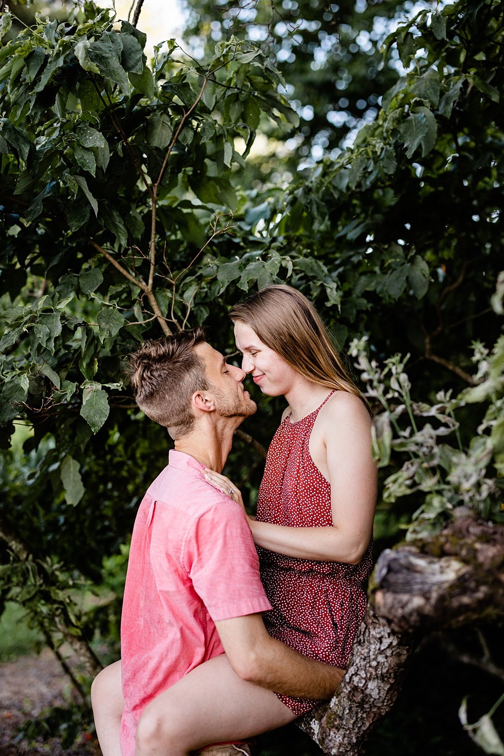  A surprise proposal and engagement session at Bernheim forest. 