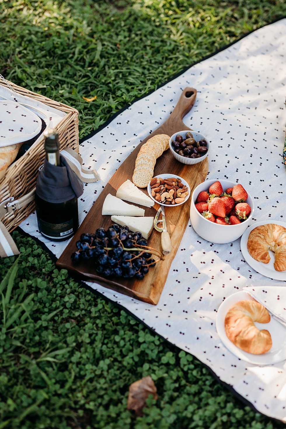  Picnic session in central park  followed by a surprise proposal and engagement session on the  Belvedere Louisville, Kentucky. 