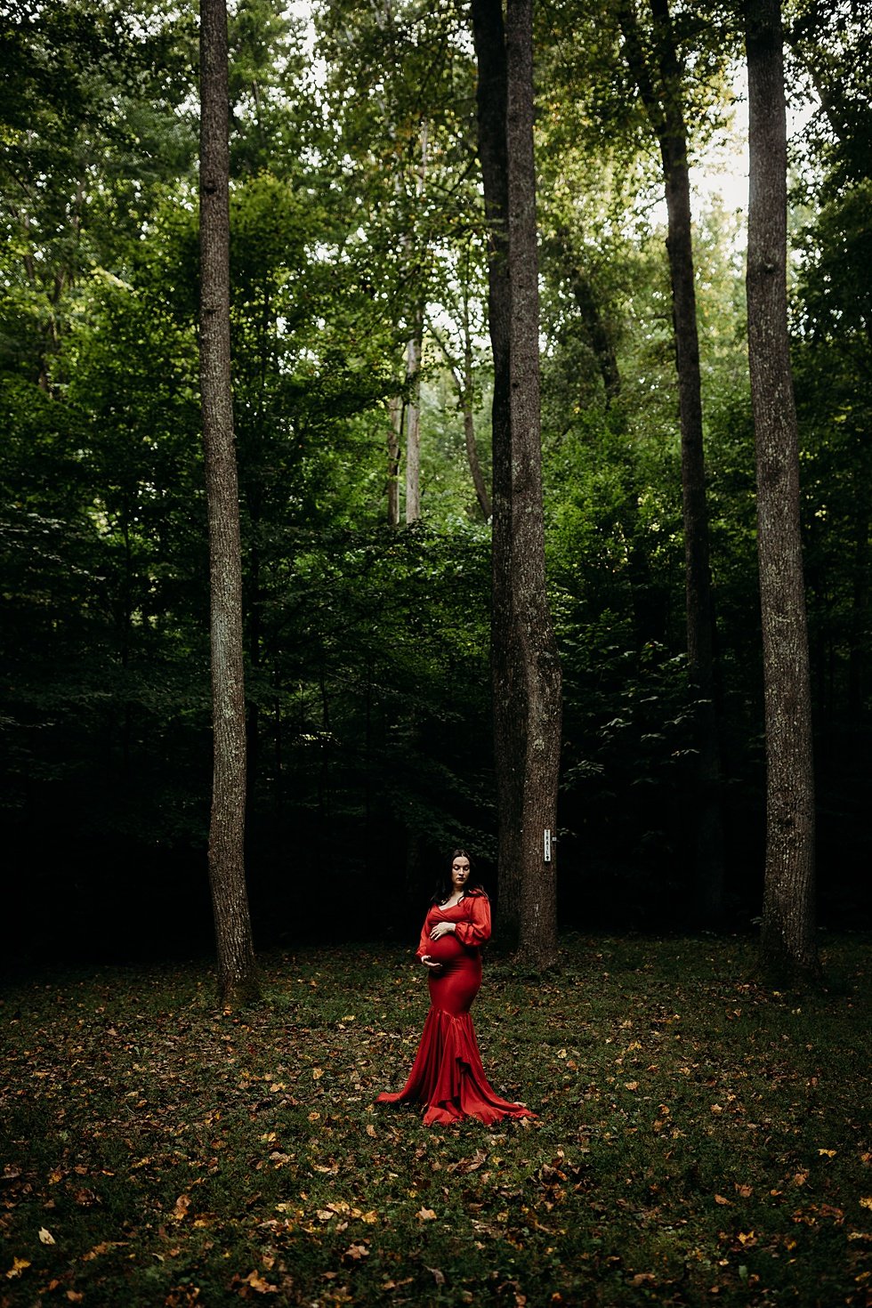  Dark and moody fairytale maternity session at Bernheim Forest 