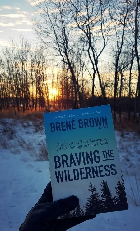 Braving the Wilderness (450x800).jpg