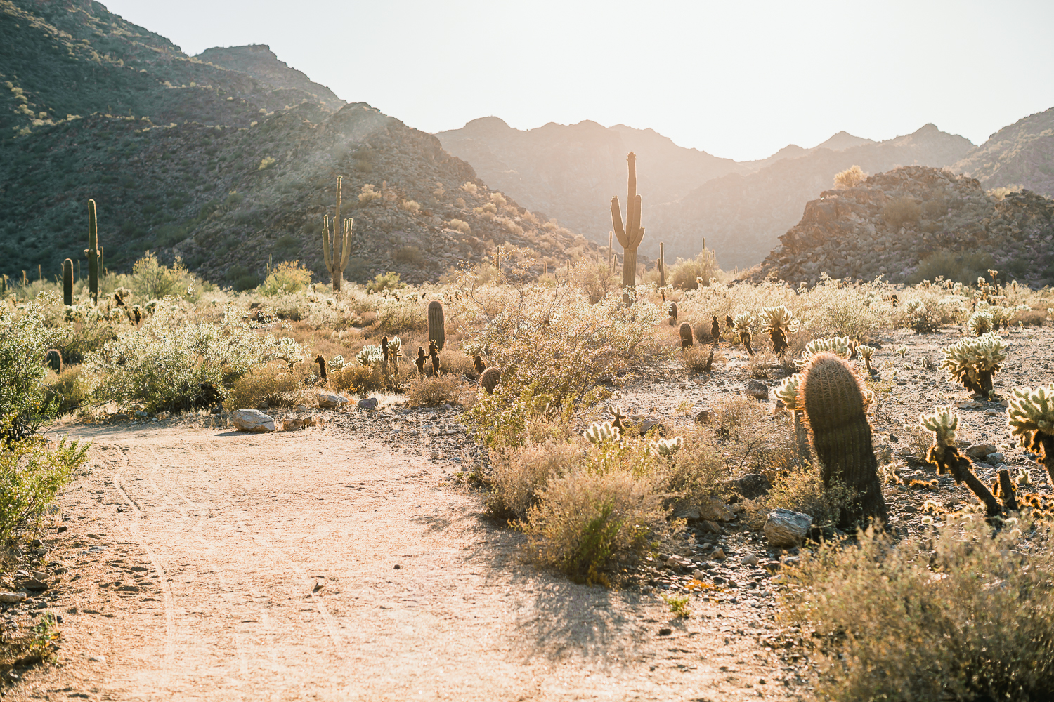 Arizona-Desert-Elopement-Emily-Kirke-Photography-4.jpg
