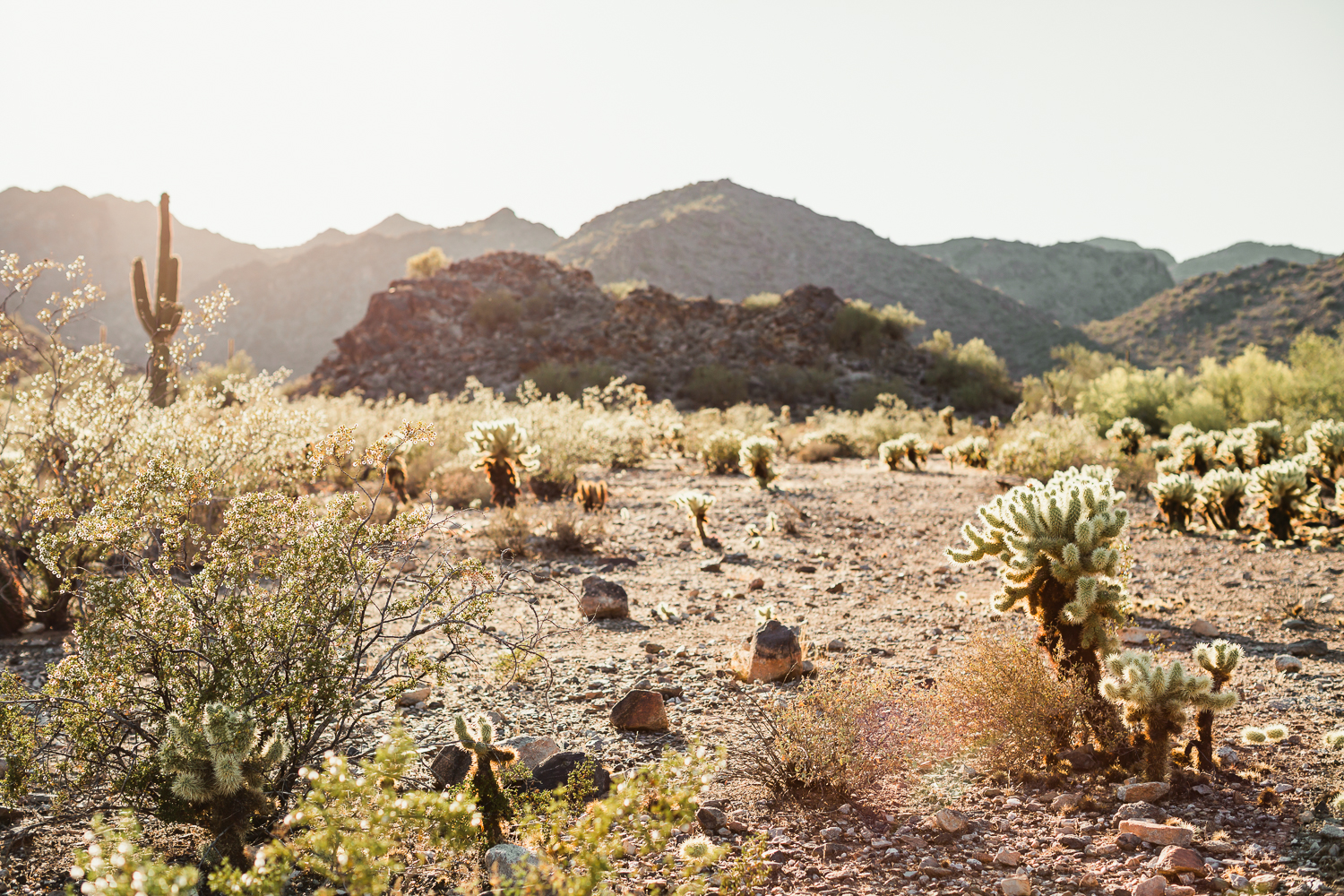 Arizona-Desert-Elopement-Emily-Kirke-Photography-10.jpg