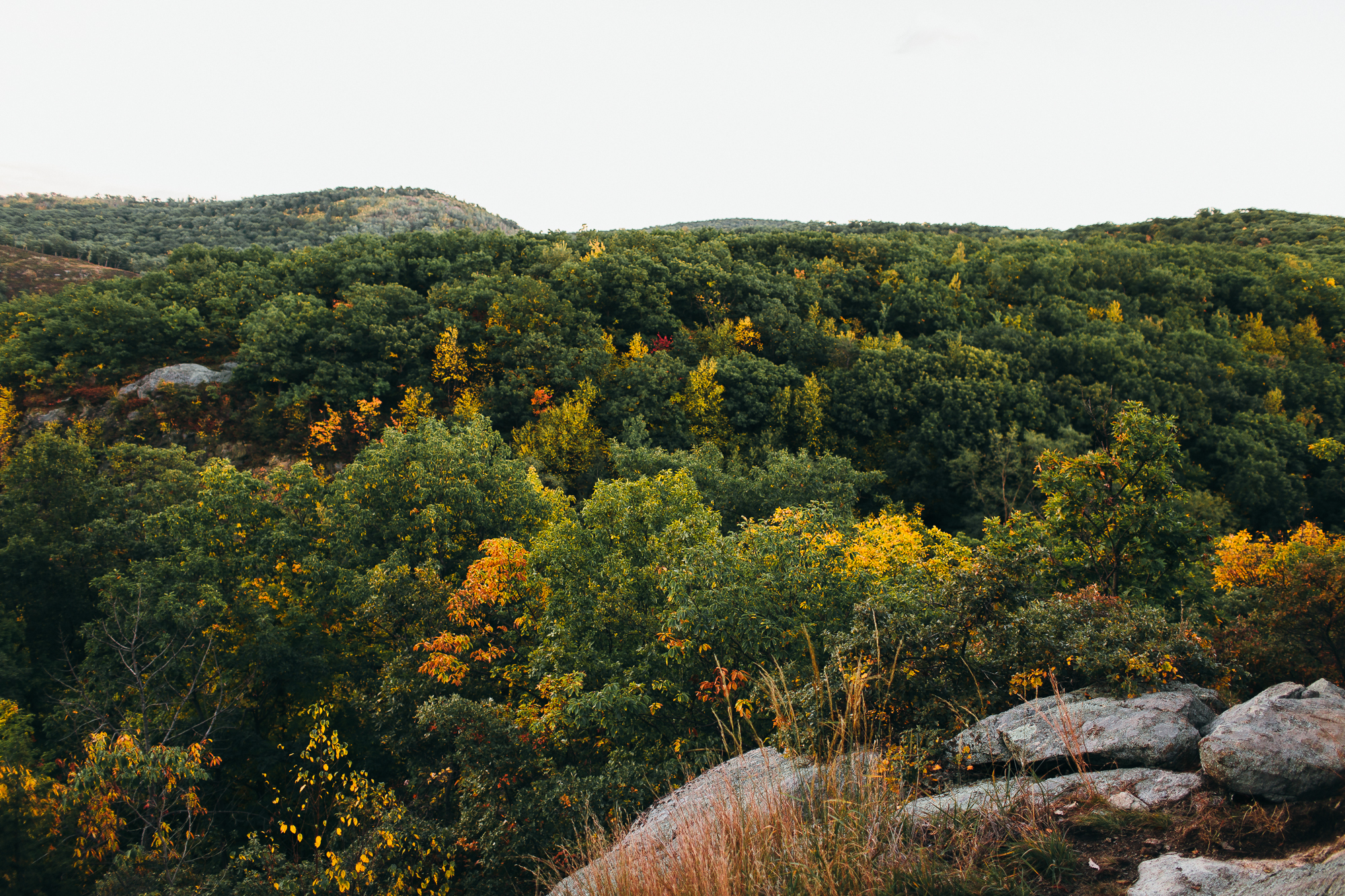 storm-king-mountain-elopement-emily-kirke-photography (40 of 40).jpg