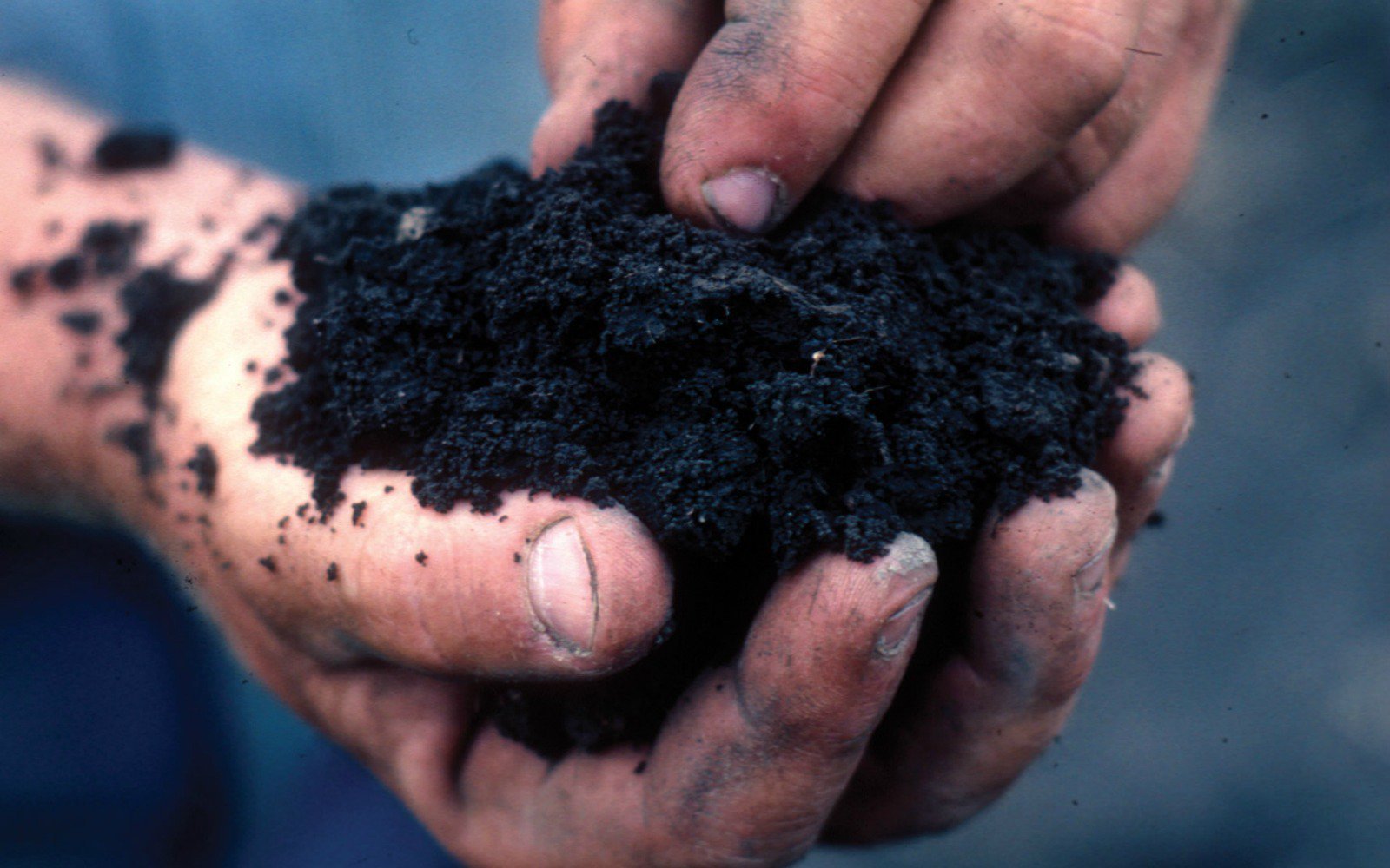Practical Permaculture and Sustainability Course