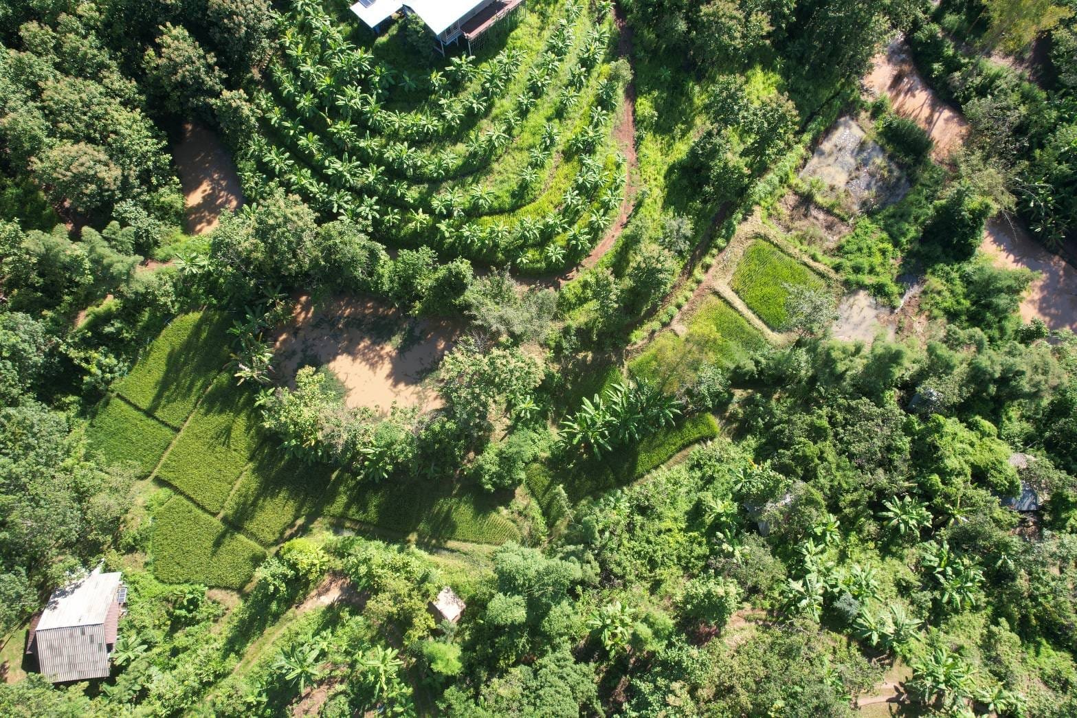 1 Day Introduction to Permaculture with Farm Tour