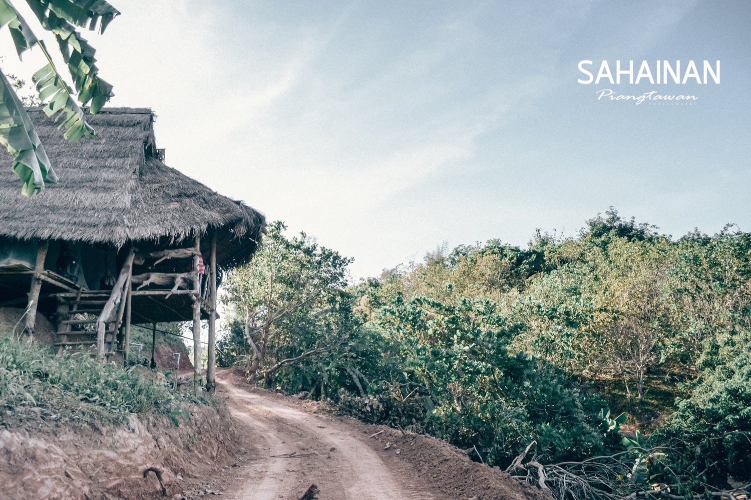 10 Days Bamboo House and Structure Construction Course