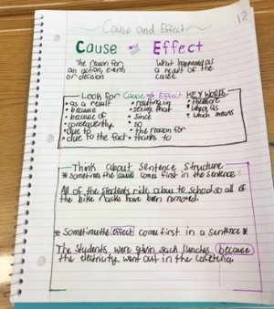 Cause And Effect Anchor Chart