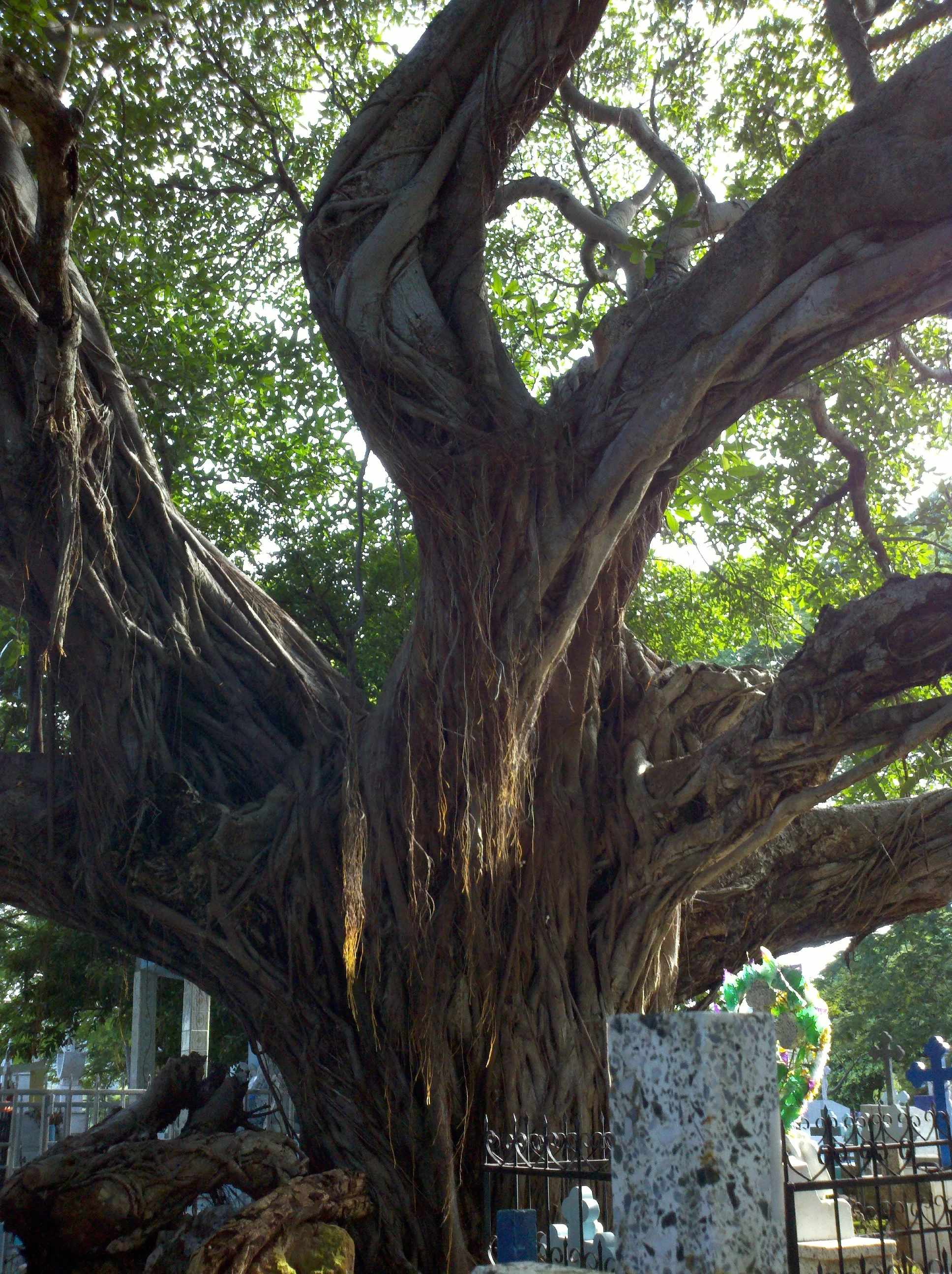 2011-07-07_17-06-22_5.jpg