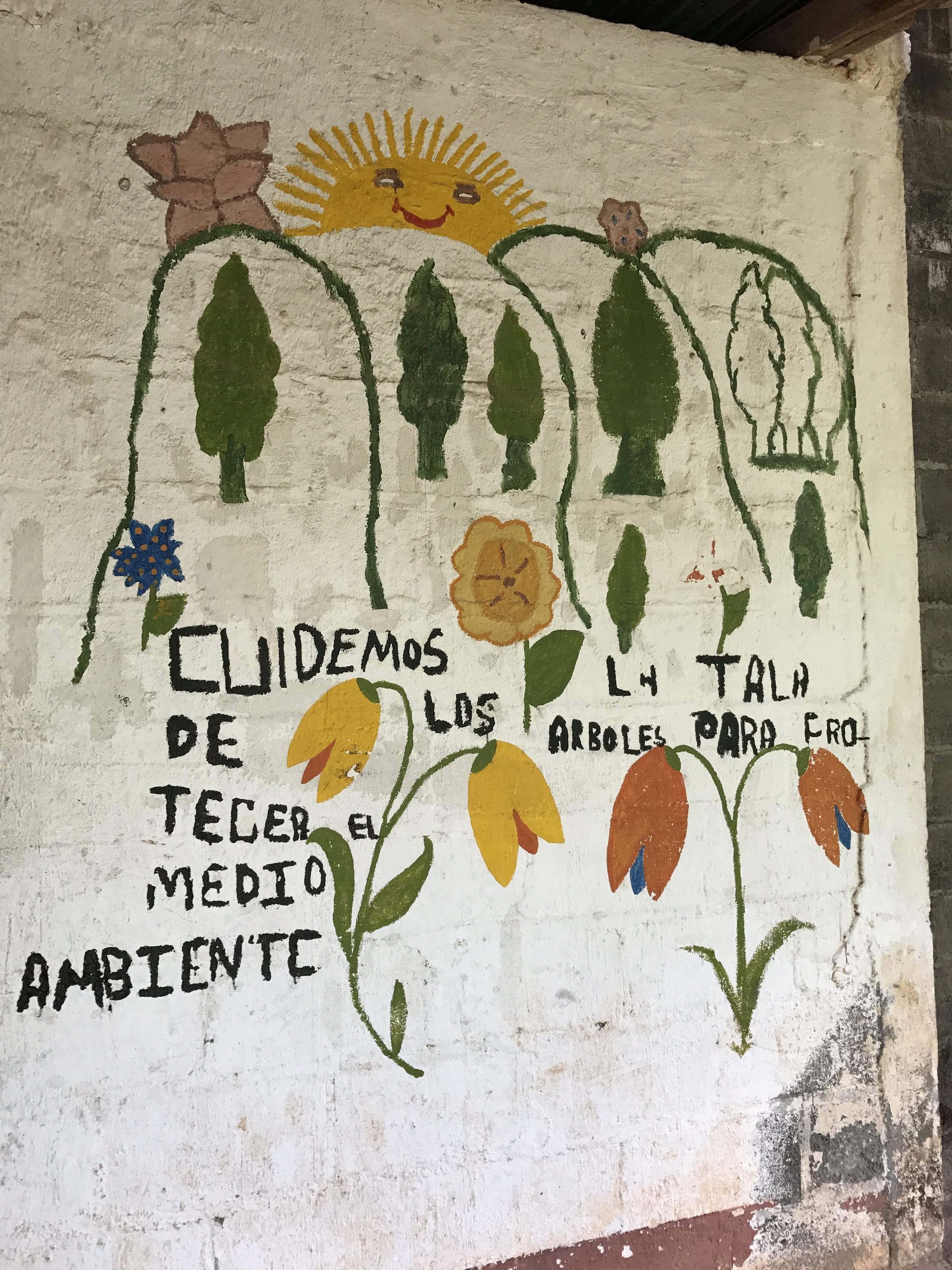  "Cuidemos la tala de los arboles para proteger el medio ambiente" 