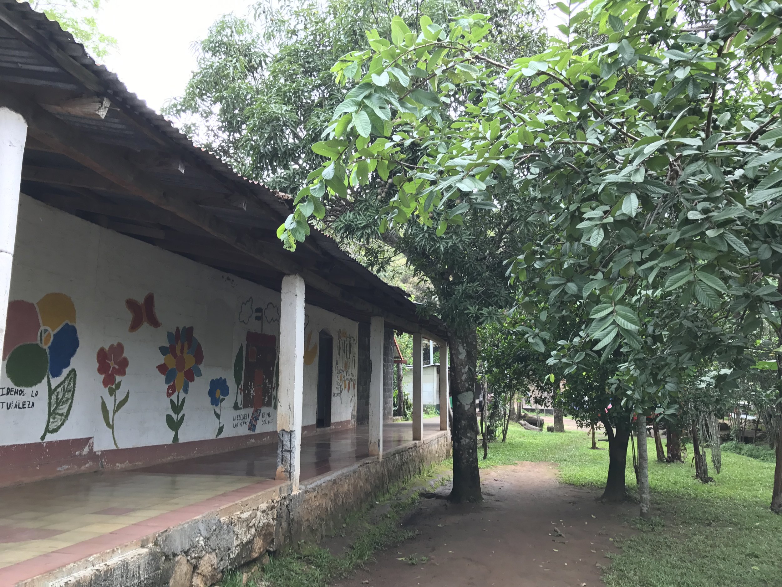  Corridor of museum 