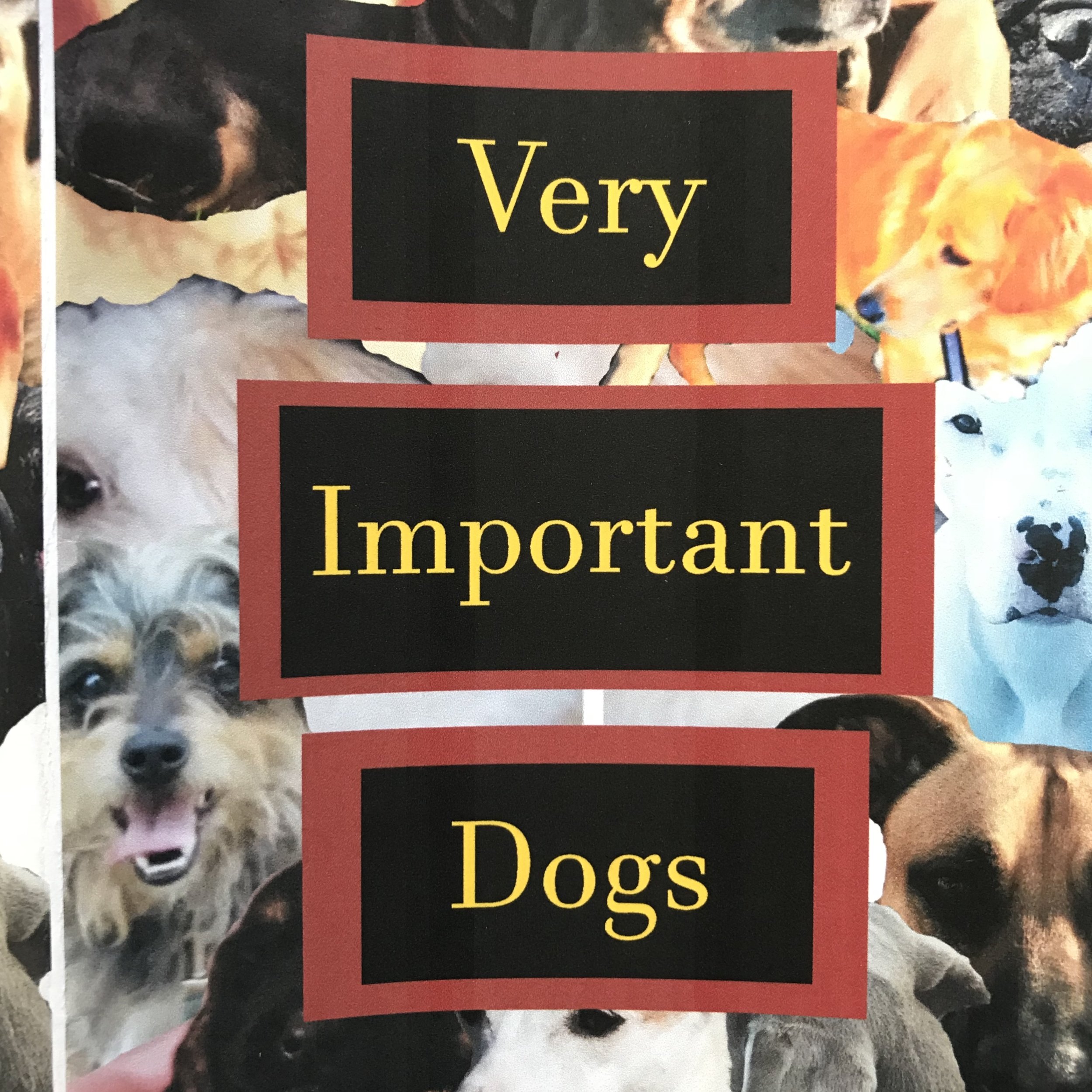 Very Important Dogs Zine