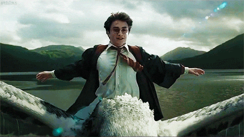 giphy (11).gif
