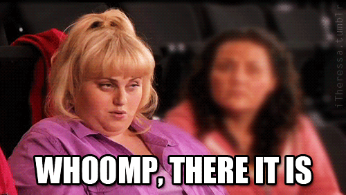 giphy (44).gif