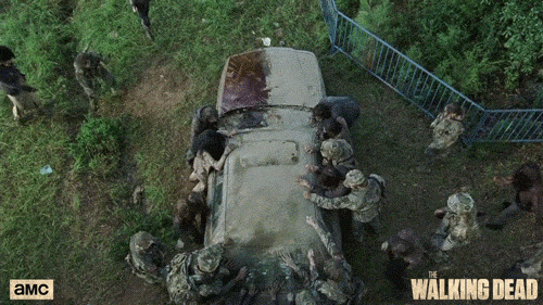 giphy (63).gif