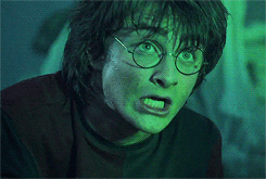 giphy (6).gif