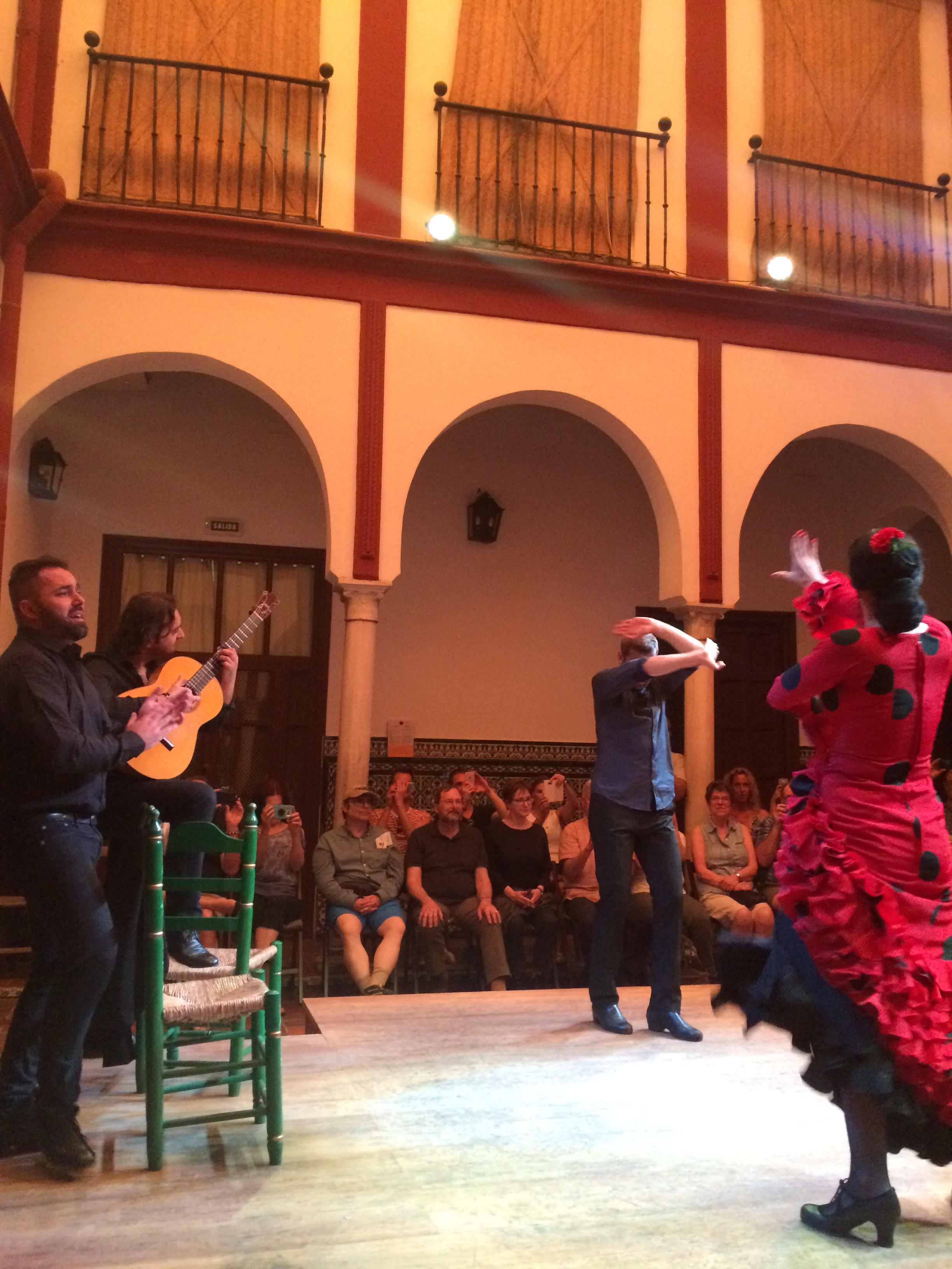  Flamenco. It was totally put on for tourists, but the music was actually great! 