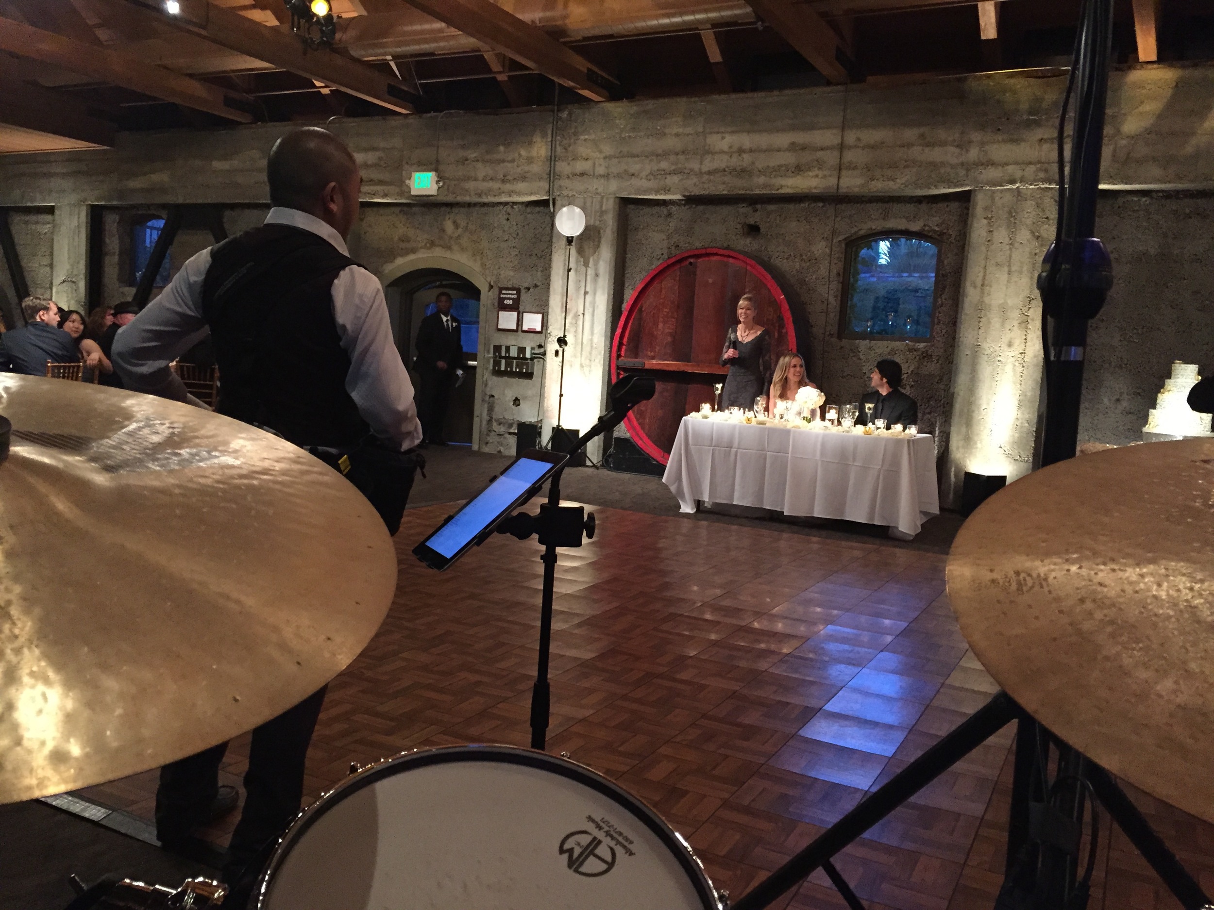Haley and Michaels listening to toasts from guests.