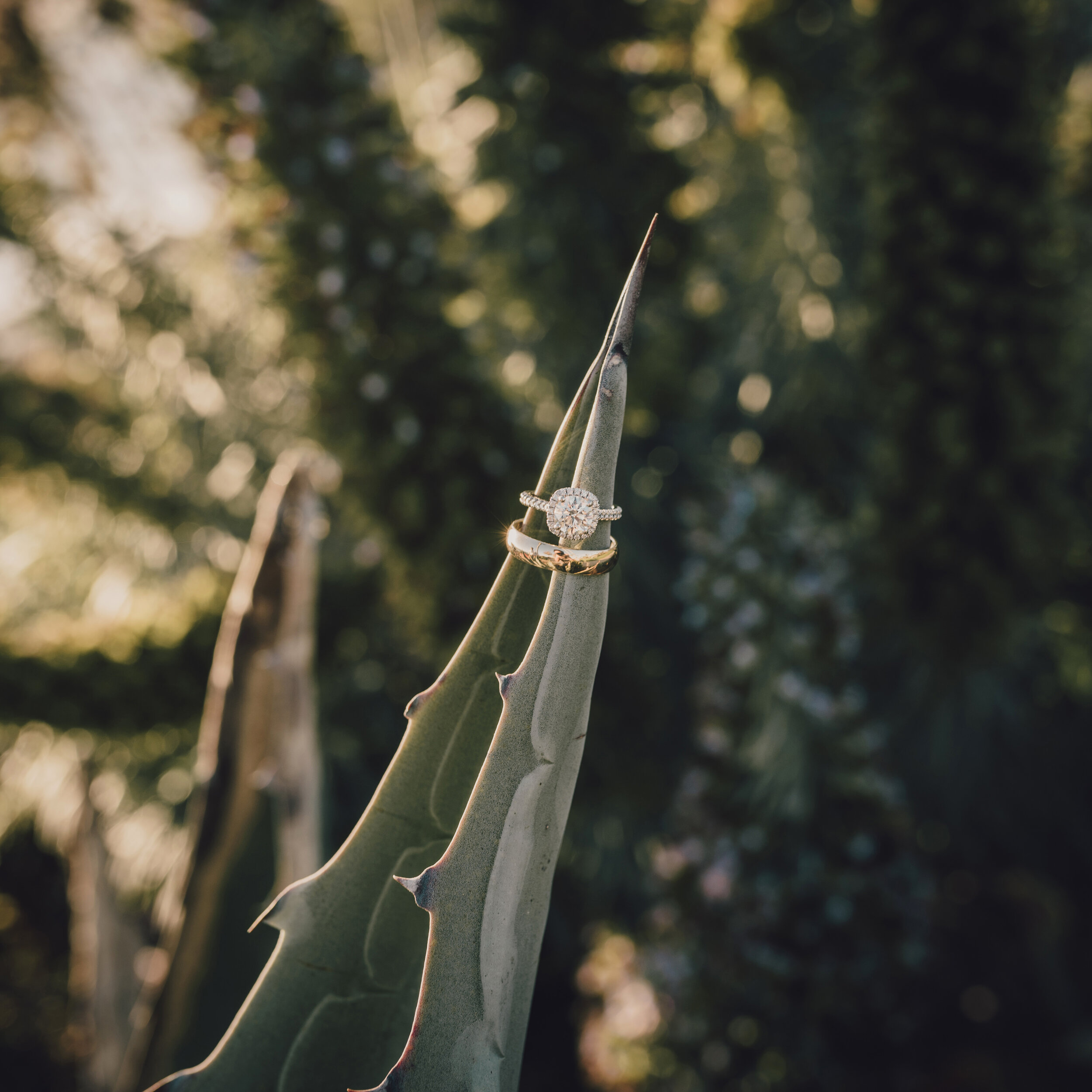 Laguna+Engagement+Photographer_28.jpg