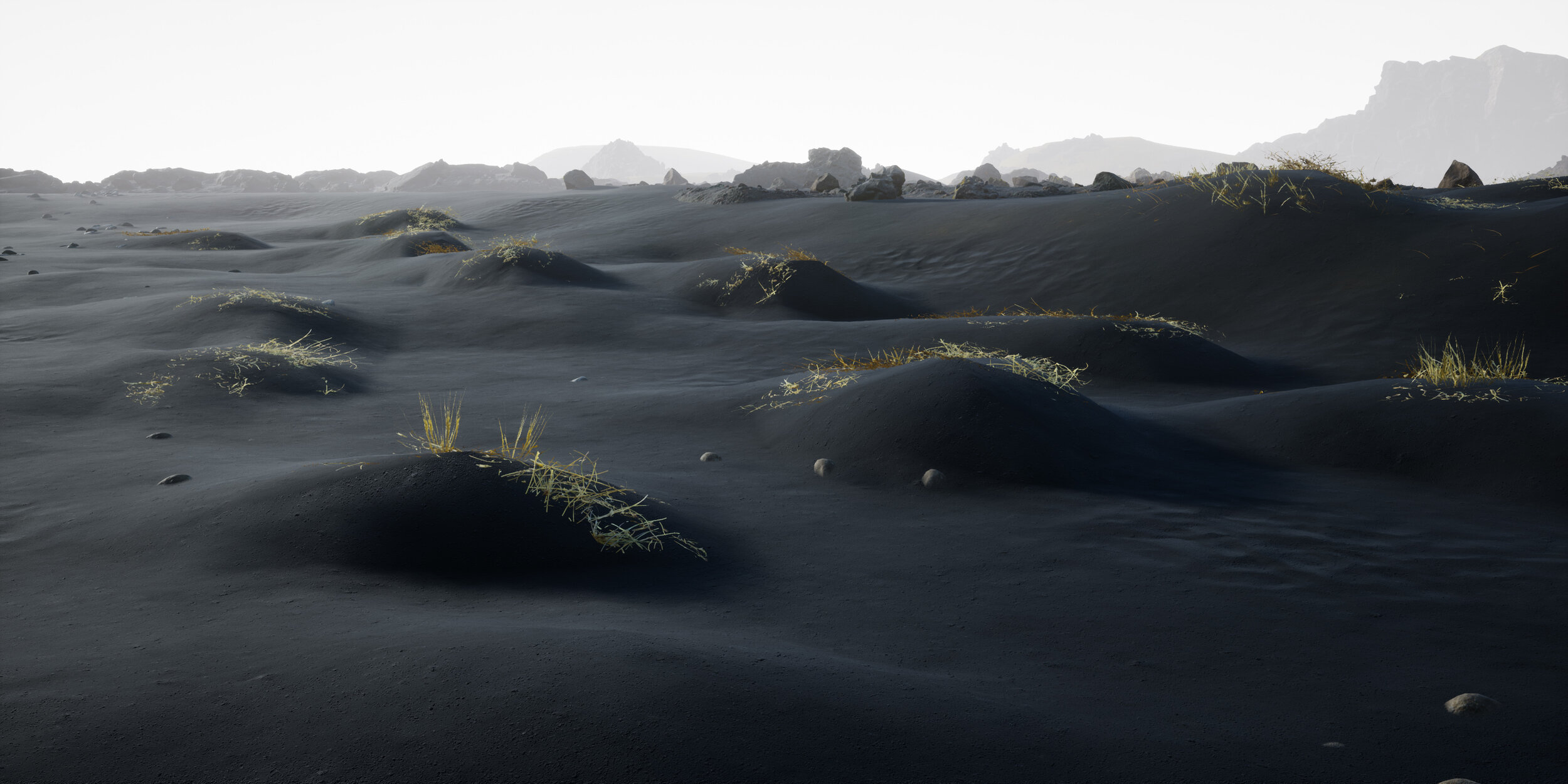 Iceland-Virtual-Art-Gallery-Photography-Videography-Simulation-Black-Sand-Texture.jpg