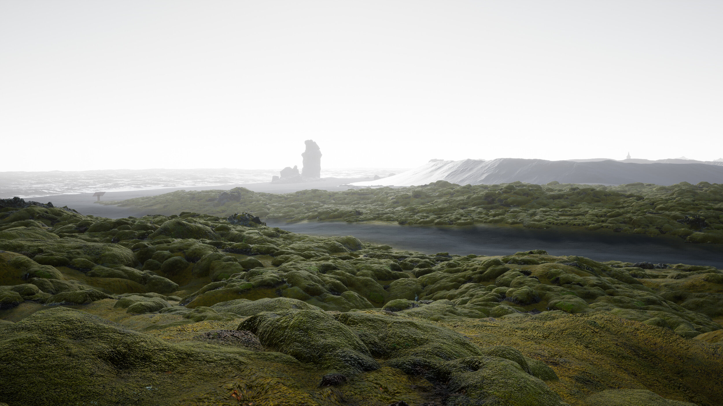 Iceland-Virtual-Art-Gallery-Photography-Videography-Simulation-Moss-Lava-Field.jpg