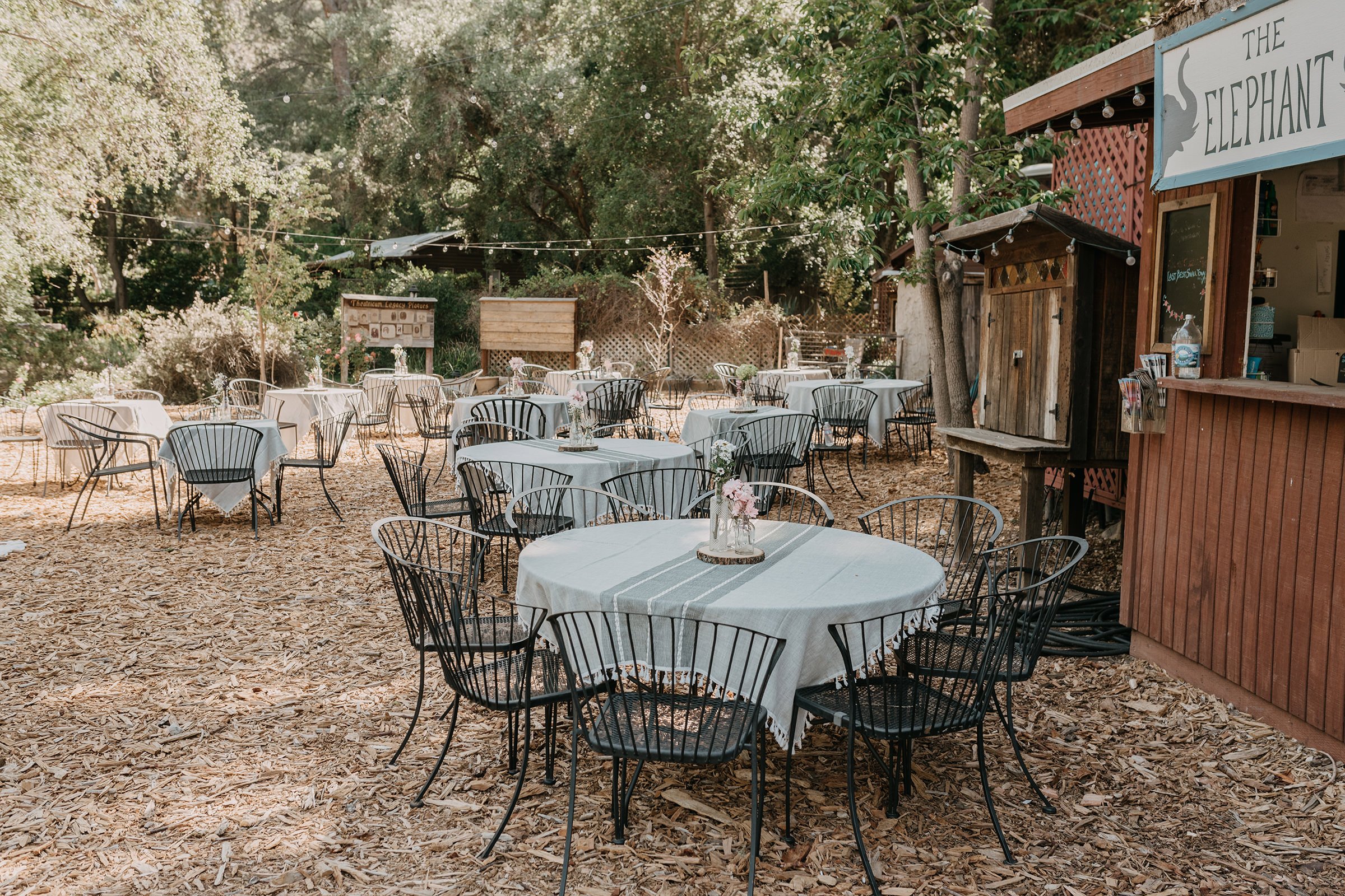 irish-inspired-moody-wedding-will geer-theatricum botanicum-topanga-southern-california-photographer-71.jpg