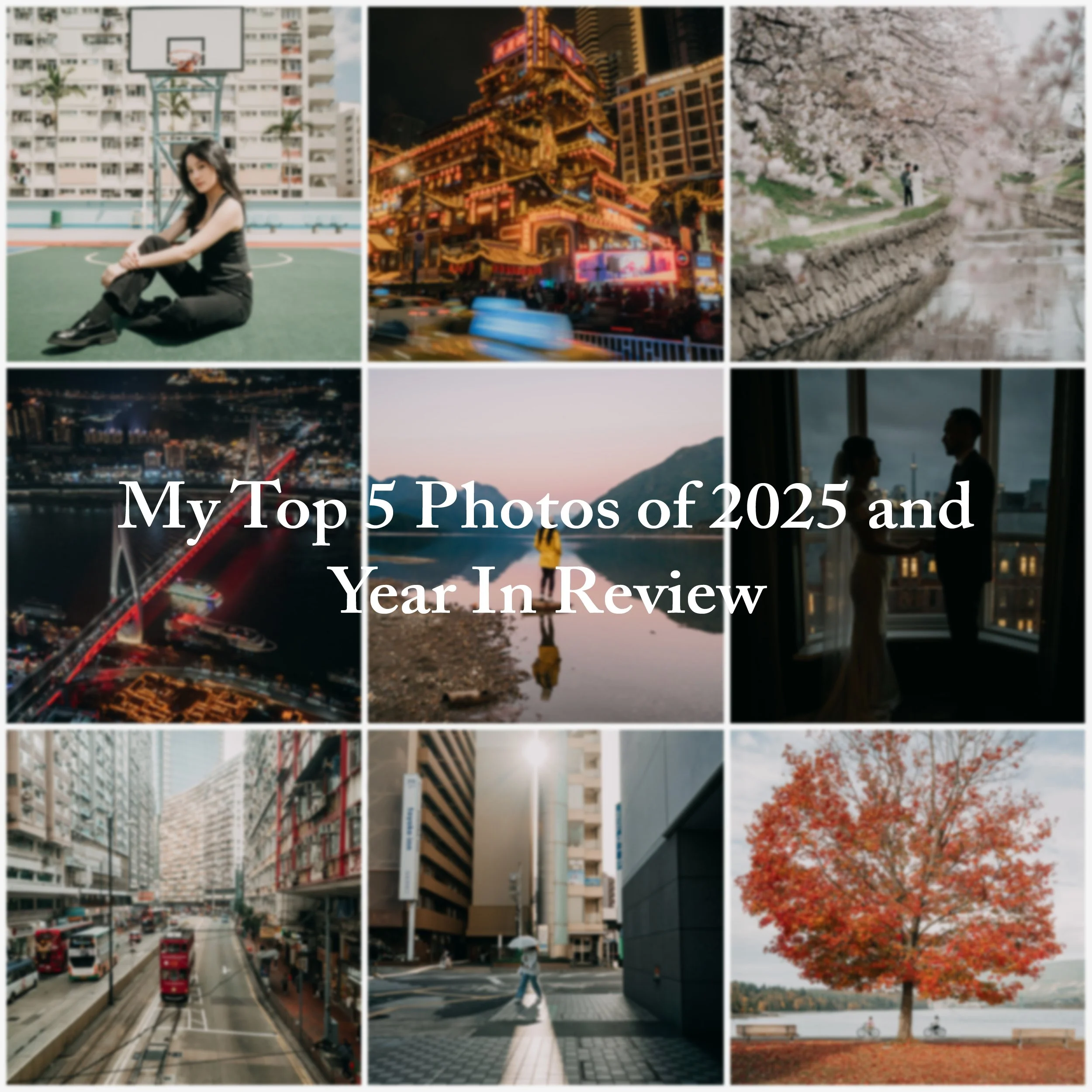 My Top 5 Photos of 2025 and Year In Review